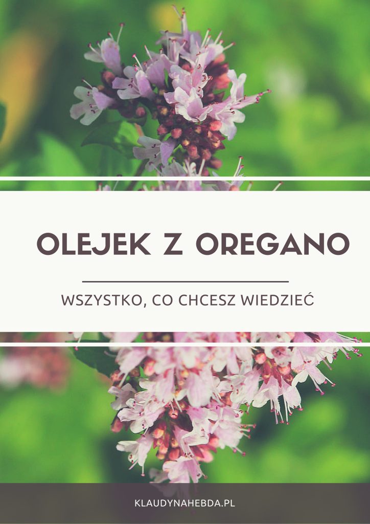 Olejek z oregano – wszystko co musisz wiedzieć.