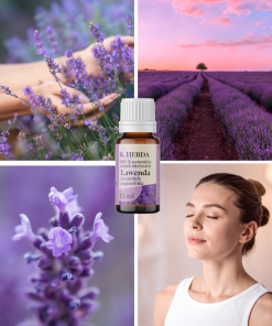 Naturalny olejek lawendowy K. HEBDA na tle kwitnącej lawendy – relaks i aromaterapia w harmonii z naturą