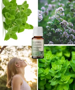 Olejek z dzikiego oregano K. Hebda – naturalny olejek eteryczny Origanum minutiflorum
