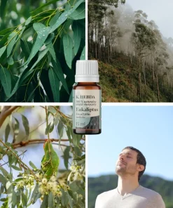 Olejek eukaliptusowy Klaudyna Hebda na kolażu z liśćmi i drzewami eukaliptusa