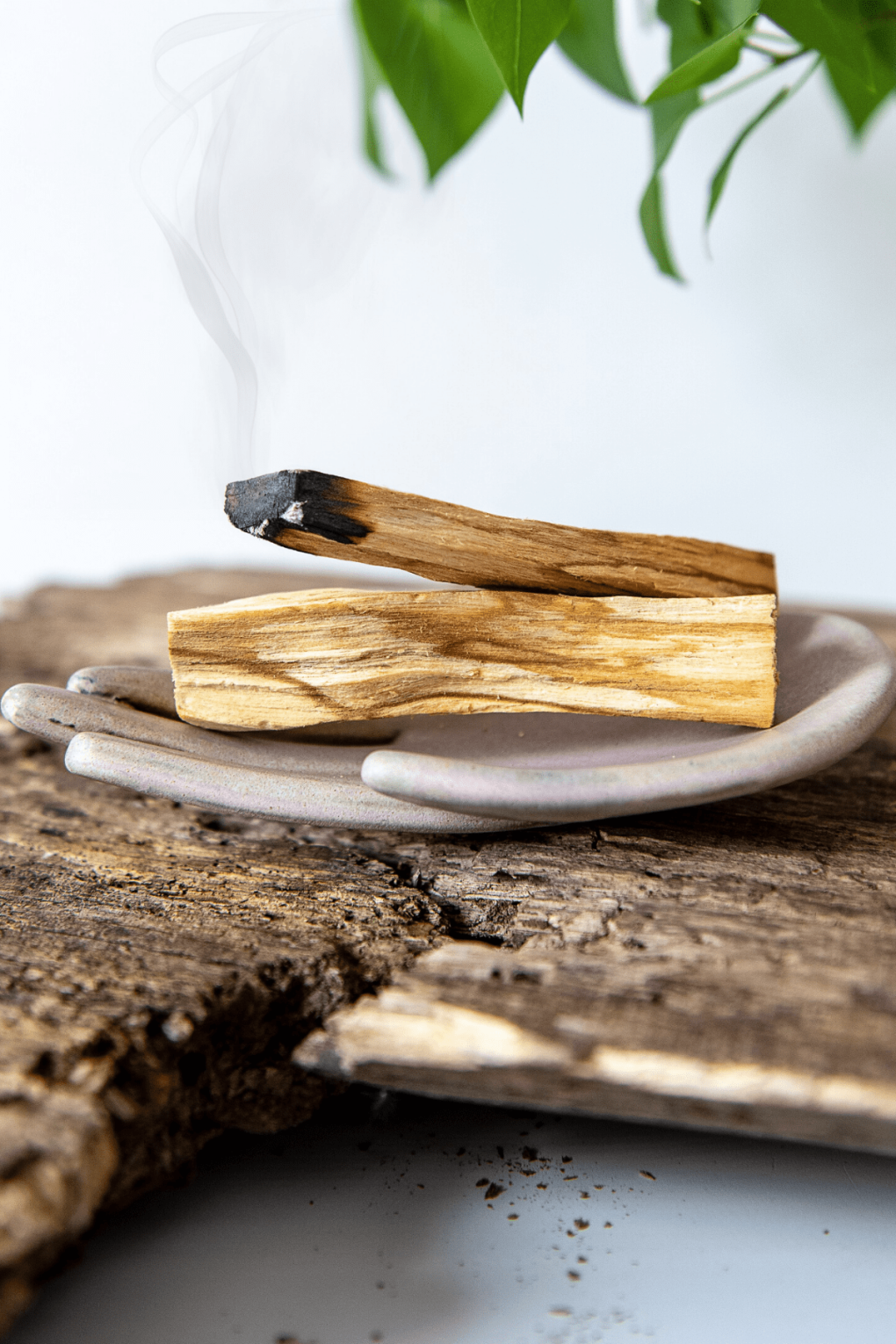 drewienka Palo Santo