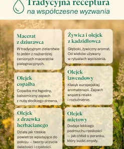 Wzmocniony Macerat Dziurawcowy Klaudyna Hebda infografika prezentująca składniki receptury maceratu