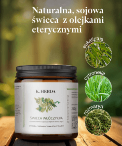 Świeca Włóczykija z naturalnymi olejkami eterycznymi – eukaliptus, cytronela, rozmaryn