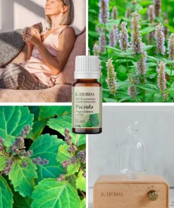 Olejek paczulowy Klaudyna Hebda przedstawiony w kolażu z rośliną paczuli, dyfuzorem i sceną spokojnego relaksu w domowym zaciszu.