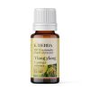 Naturalny olejek eteryczny Ylang Ylang 15 ml – Klaudyna Hebda, butelka na białym tle