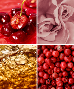 Grafika z nutami perfum Cherry Paradox: wiśnia, róża turecka, whisky, różowy pieprz