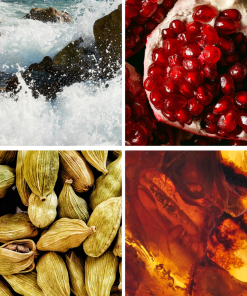 Grafika z nutami perfum Sea Paradox: morze, kardamon, granat, bursztyn