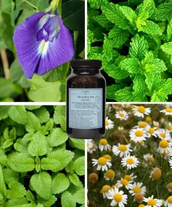 Aromatyczna herbatka Na dobry sen Klaudyna Hebda na tle ziół wspierających spokojną atmosferę i wieczorny relaks.