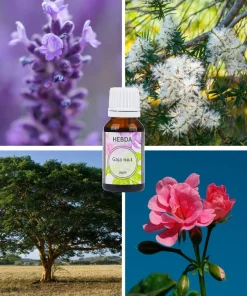 Olejek Gaja no.1 K. Hebda na tle lawendy, geranium, drzew i białych kwiatów – naturalna aromatyczna kompozycja