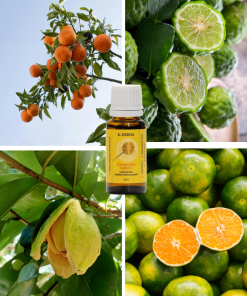 Cytrusowa Radość K. HEBDA – składniki: mandarynka, bergamotka, limonka, ylang-ylang, paczula