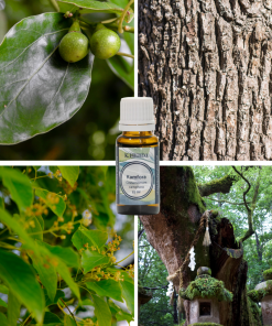 Olejek kamforowy K. HEBDA – 100% olejek eteryczny z kamforowca białego, świeży i rozgrzewający aromat