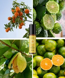 Olejki eteryczne cytrusowe - roll-on Cytrusowa radość – mandarynka, bergamotka, limonka K. HEBDA