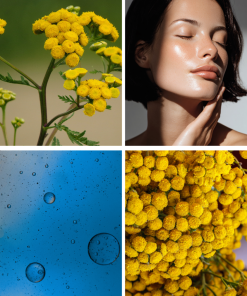 Rozświetlające serum Blue Tansy z witaminą C Klaudyna Hebda, niebieska emulsja, żółte kwiaty wrotyczu marokańskiego i modelka o gładkiej cerze
