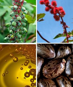 Zbliżenie makro na złocisto-zielone bąbelki oleju rycynowego z etykietami: 100% Czysty, Tłoczony na zimno, Wysoka zawartość kwasu rycynolowego.