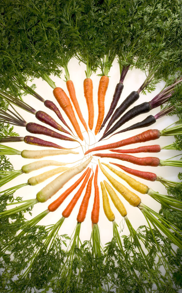 Carrots_of_many_colors