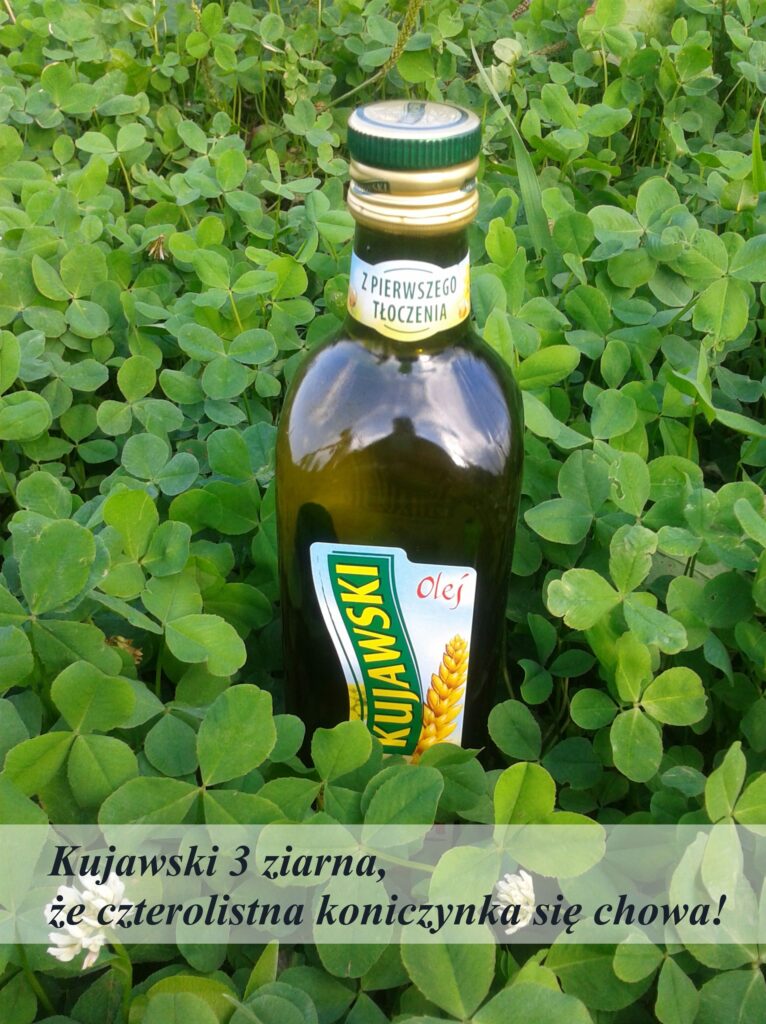 koniczyna (1)