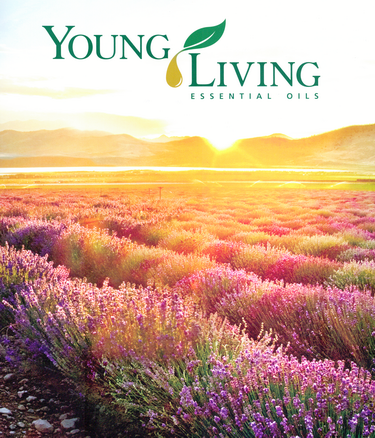 Young-Living-Lavendar-Field-Small