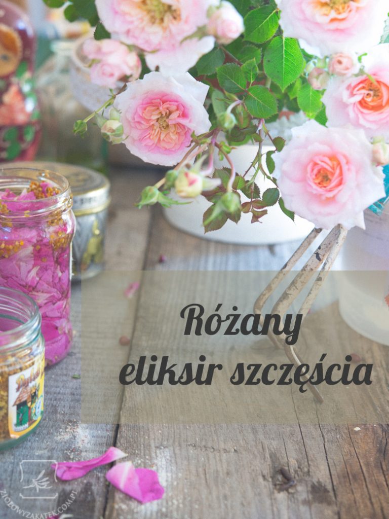 rozanyeliksir
