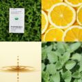 Czteroczęściowy kolaż przedstawiający opakowanie K. Hebda Aromacaps na zielonym tle, plastry cytryny, kroplę olejku oraz świeże liście oregano.