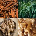 Kompozycja naturalnych składników roślinnych tworzących herbatkę Liptus, w tym liście werbeny, eukaliptusa, mięty oraz korzeń imbiru i lukrecji.