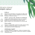 Infografika z liśćmi eukaliptusa przedstawiająca 4 sposoby jak stosować olejek Liptus K. Hebda: dyfuzor, inhalacja z gorącą solą, para wodna, kąpiel.