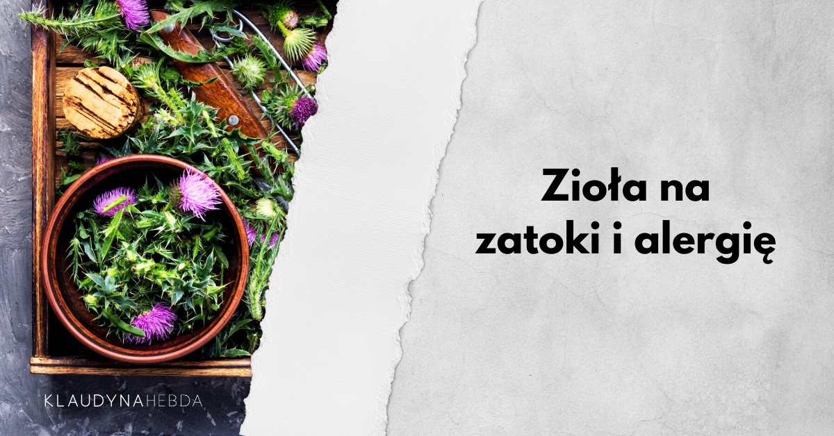 zioła na zatoki i alergię