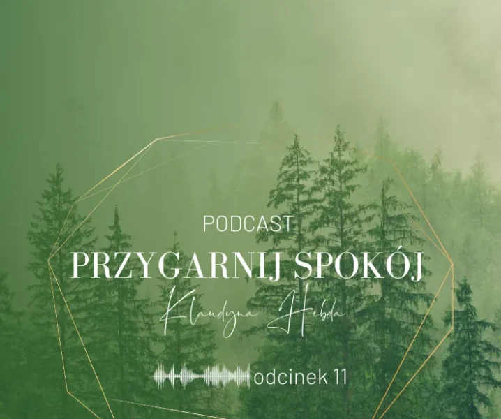 Podcast Przygarnij spokój: odcinek 11