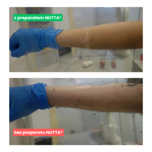 Skutecznośc sprayu na kleszcze i komary Nutta potwierdzona badaniami