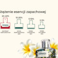 Wykres stężenia olejków zapachowych przedstawiający ekstrakt perfumeryjny 20-40% Flower Paradox K. Hebda na tle białych kwiatów frangipani.