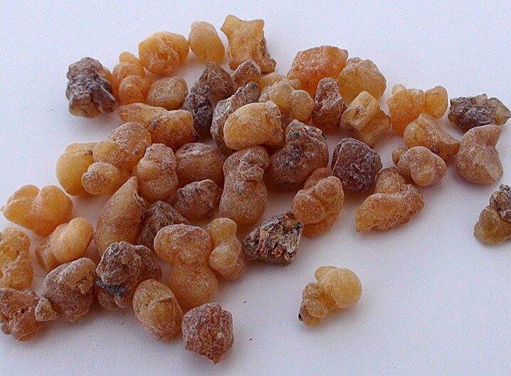 Żywica Boswellia carterii