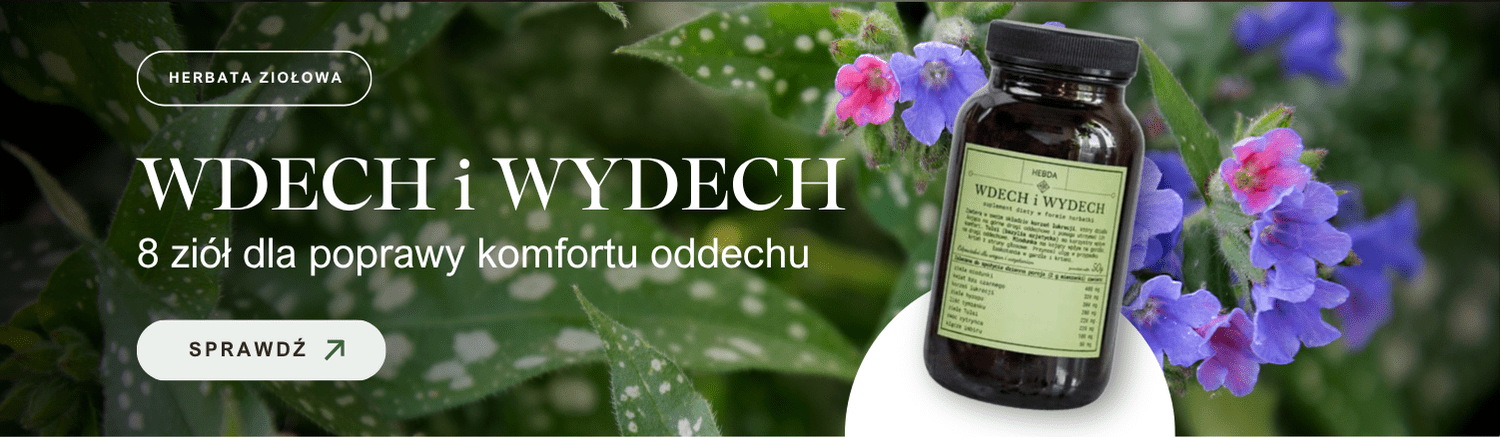 Herbatka ziołowa dla zdrowia układu oddechowego