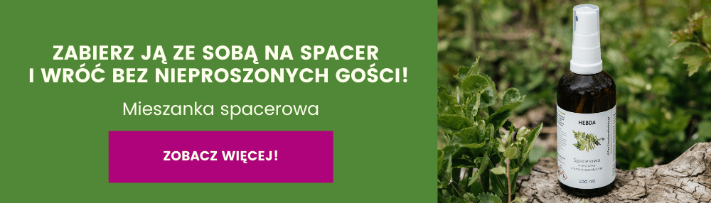 Zamów mieszankę Spacerową!