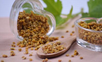 Propolis na odporność