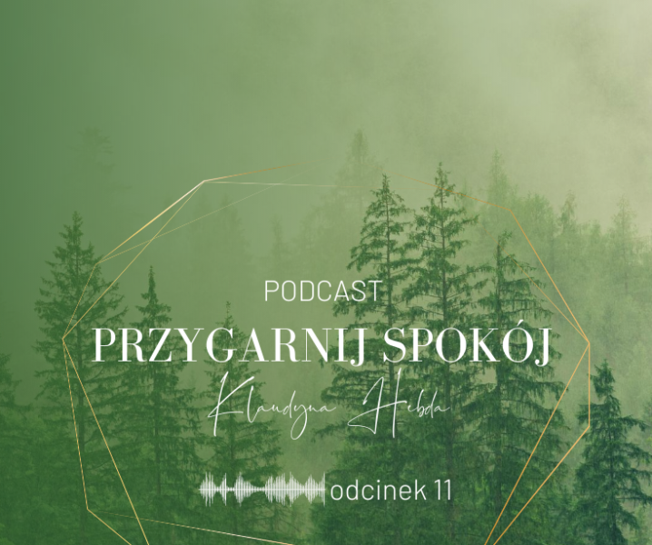 Podcast Przygarnij spokój: odcinek 11