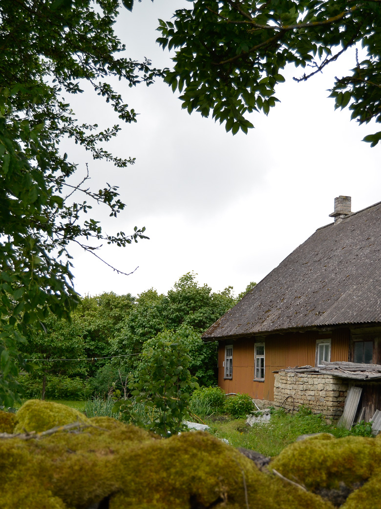 estonia-8577