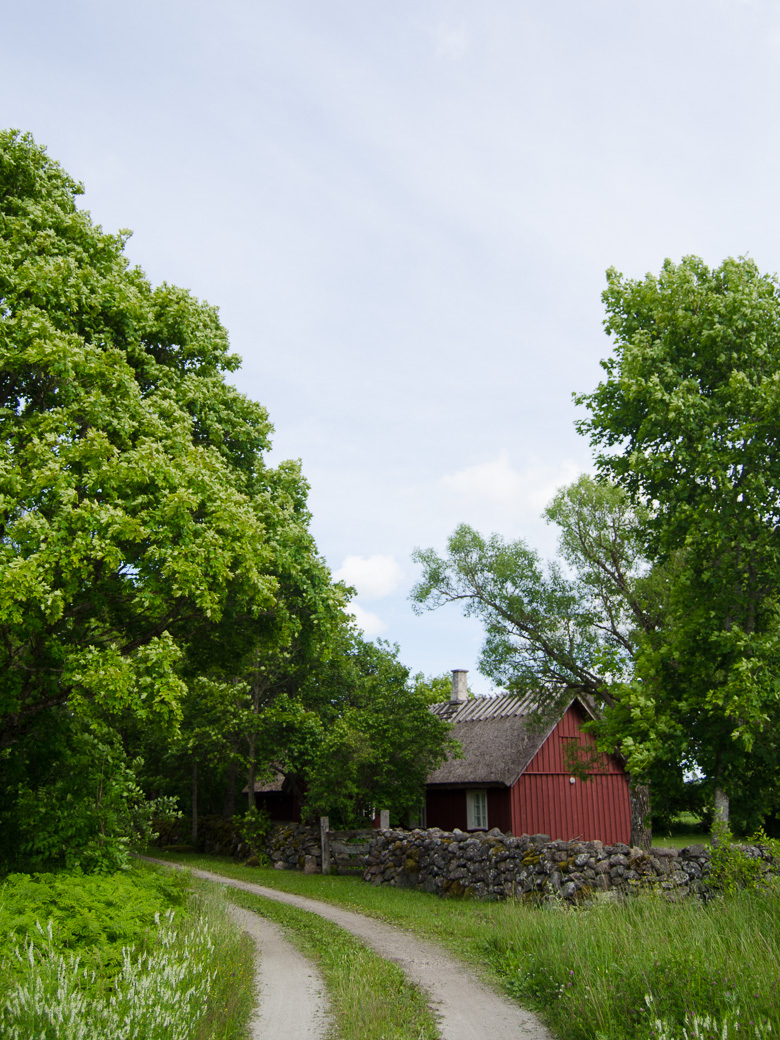 estonia-8856