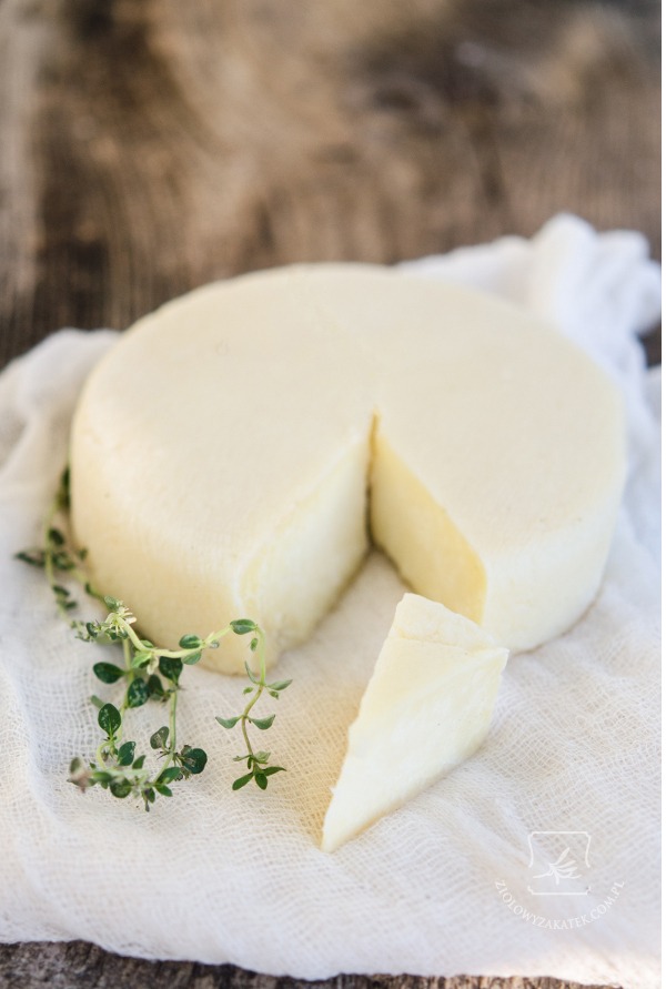 jack-cheese ser