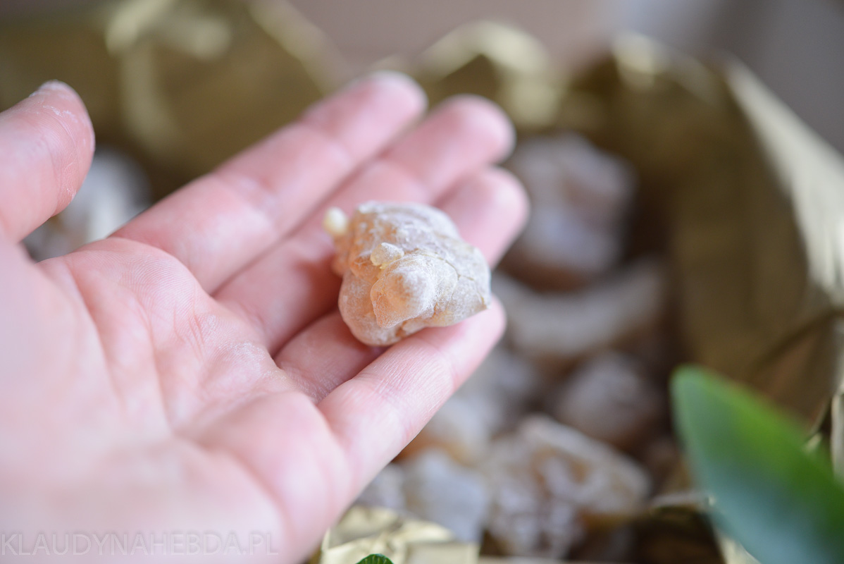 Boswellia sacra Grudka żywicy kadzidlanej Boswellia sacra