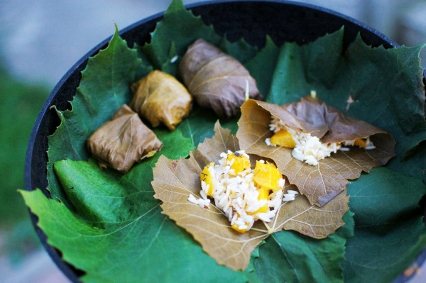 mezze6