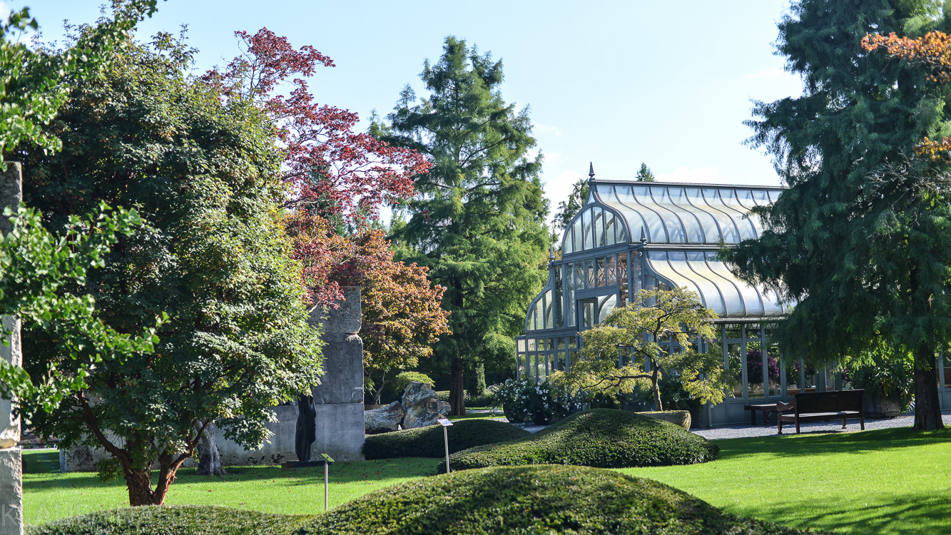muzeum-dzrew-szwajcaria-1570