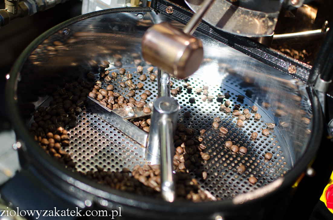naleczow-6668