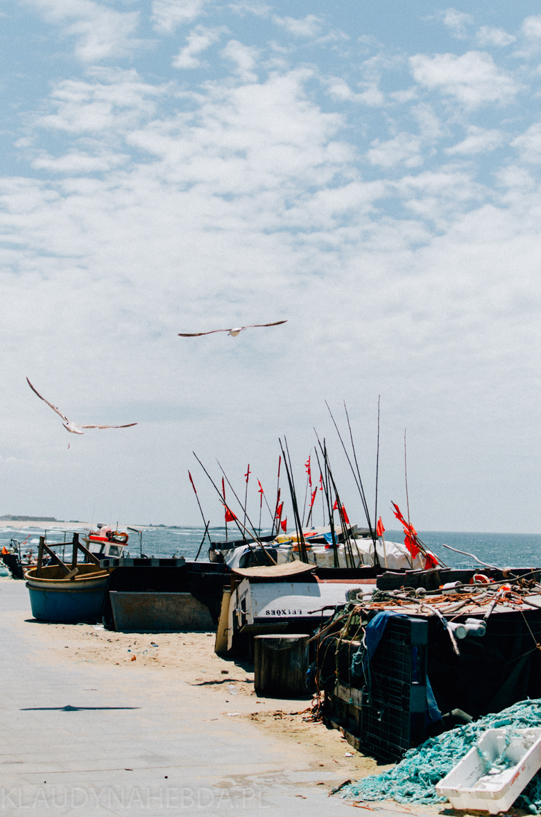 ocean-porto-3995
