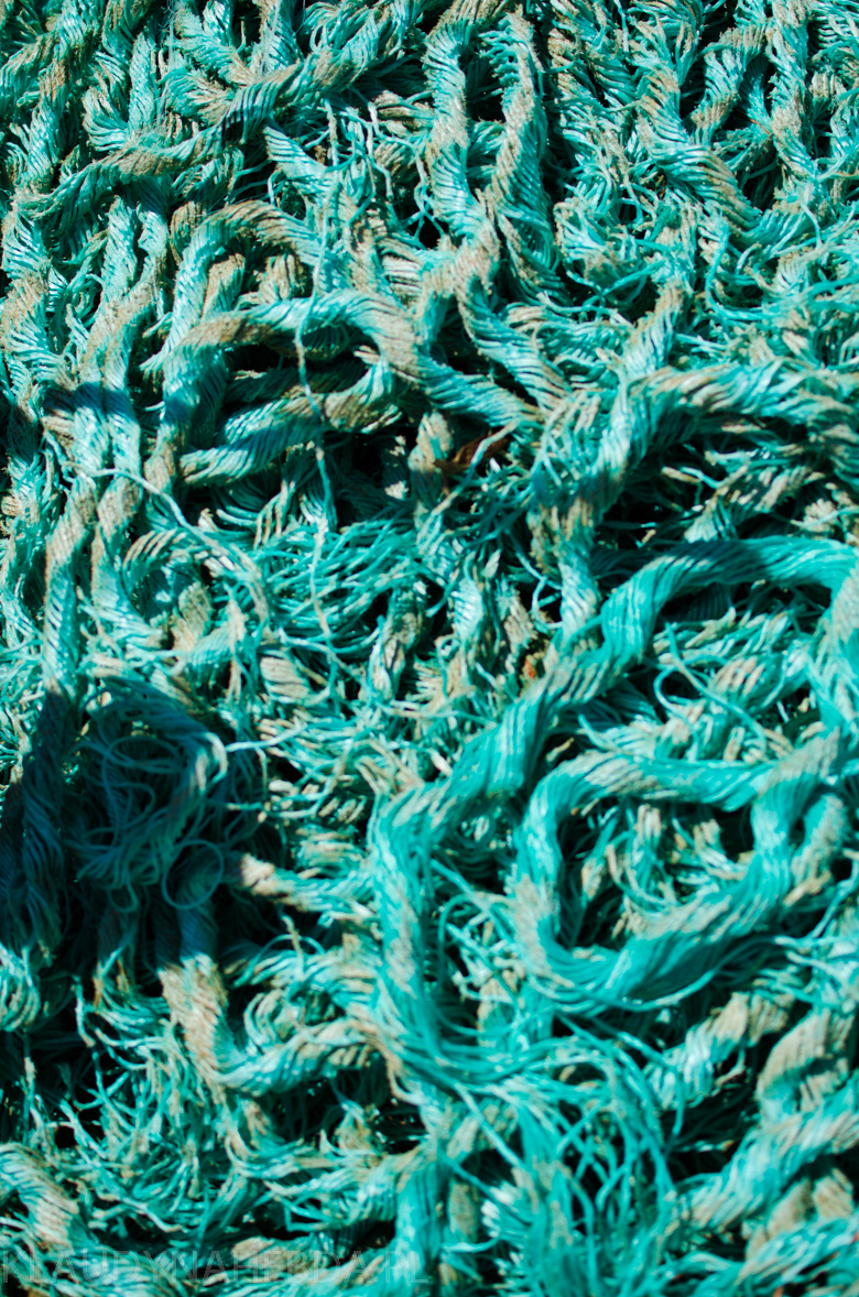 ocean-porto-3997