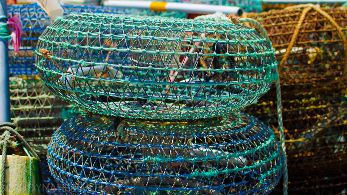 ocean-porto-4014
