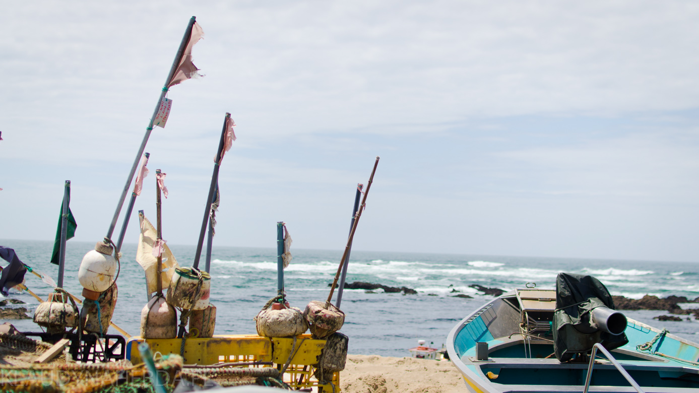 ocean-porto-4016