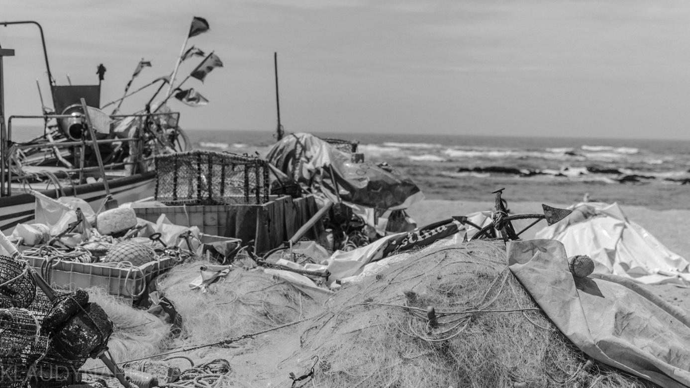 ocean-porto-4026