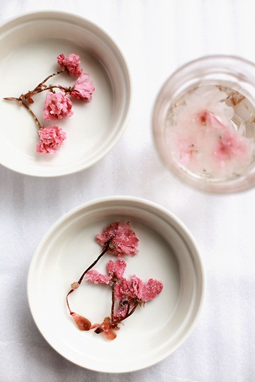 pickled_sakura