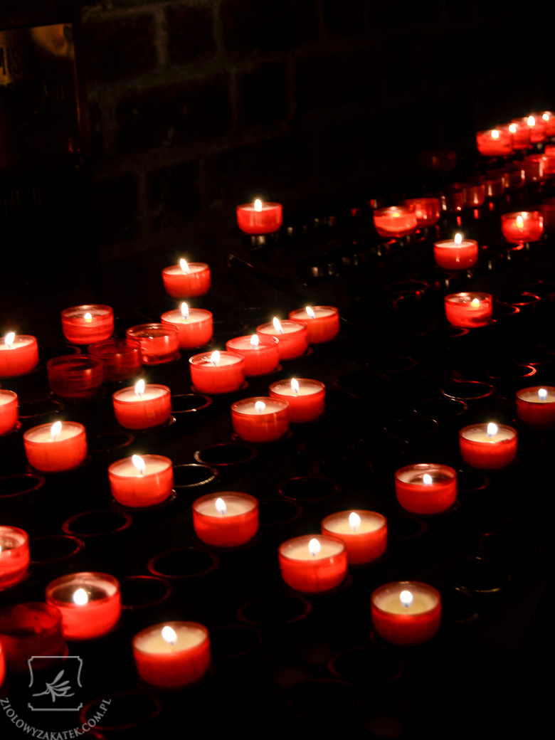 wroclaw-8335