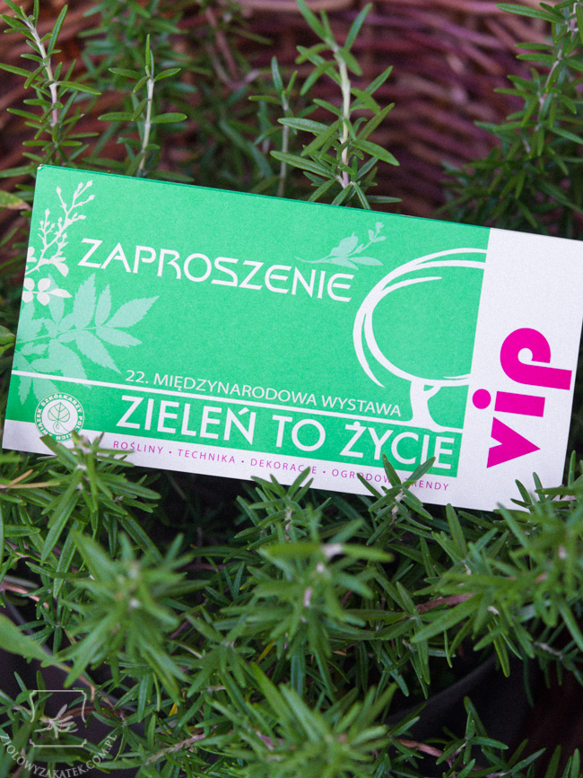 ztzwystawa (1 of 1)
