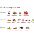 Graficzna piramida zapachowa serii K. Hebda Cherry Paradox z podziałem na nuty głowy, serca i bazy oraz ikonami składników.